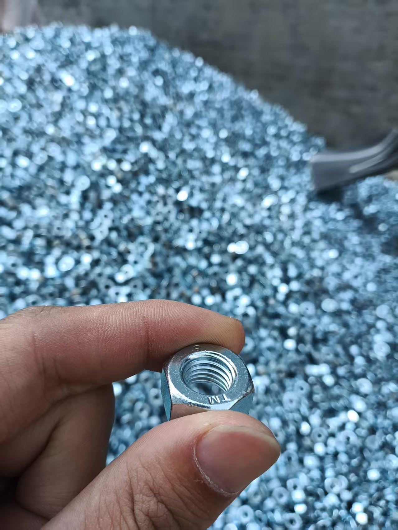 Hex Nuts